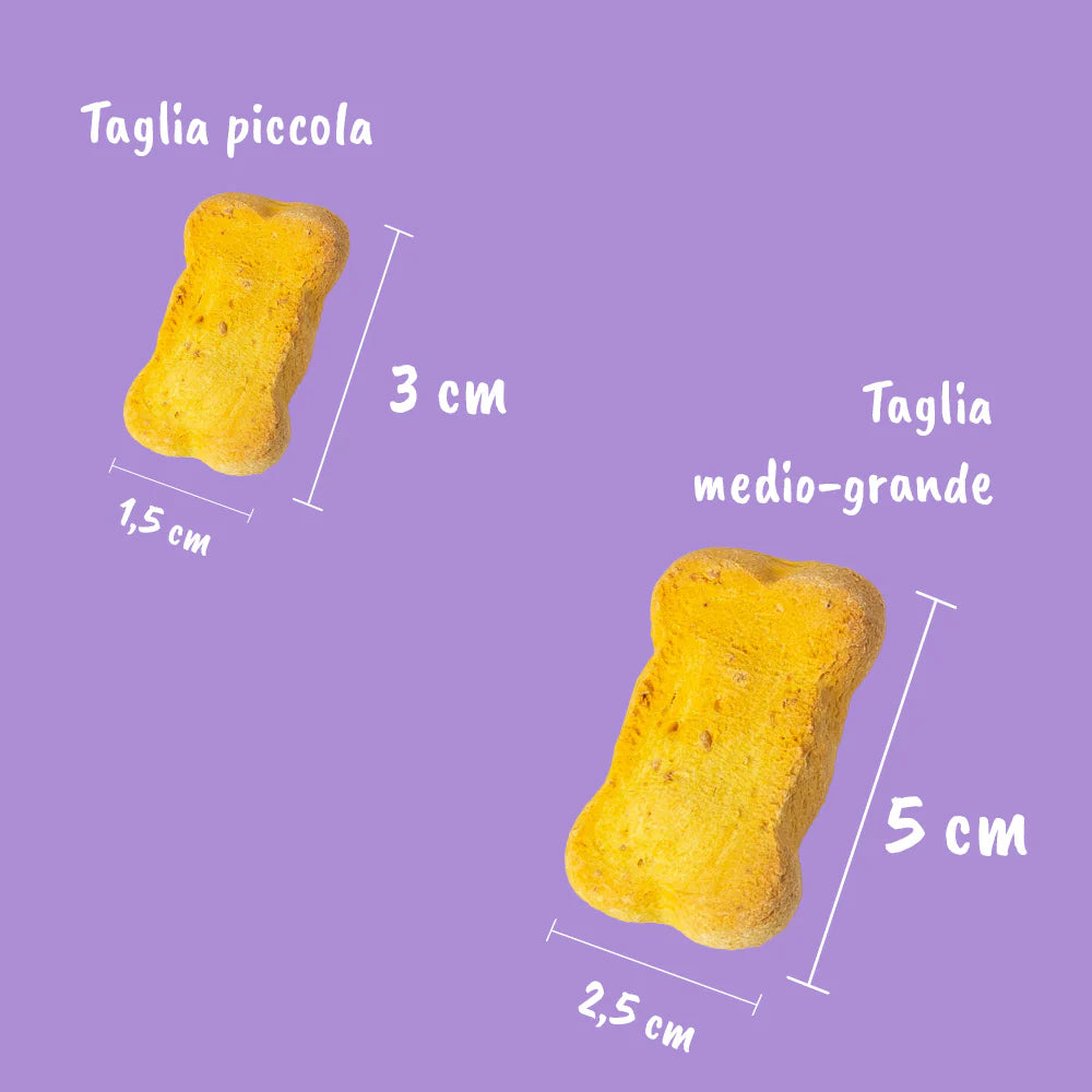 Biscotti alla Macedonia per Cani 200g