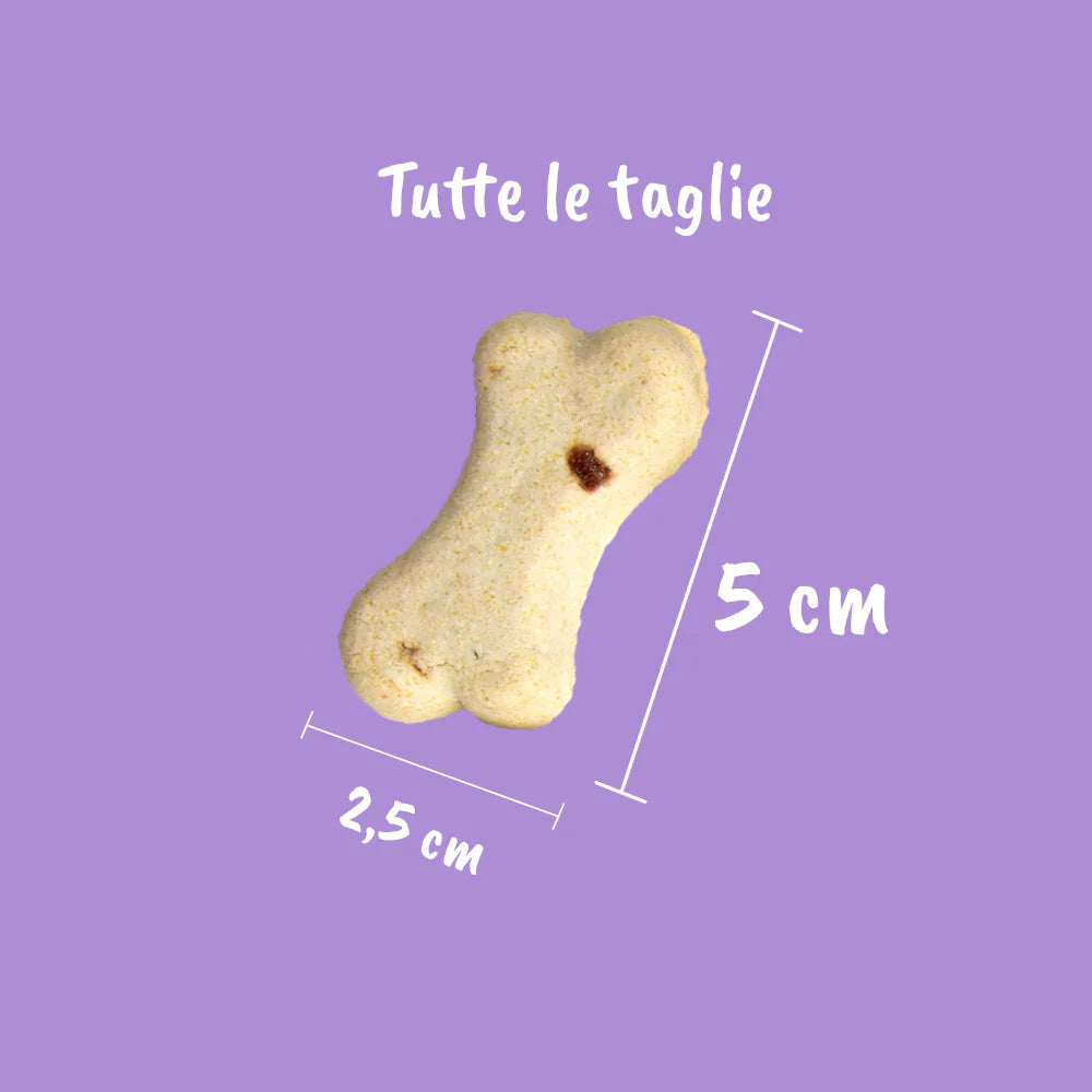 Biscotti al Mirtillo per Cani taglia unica 150g