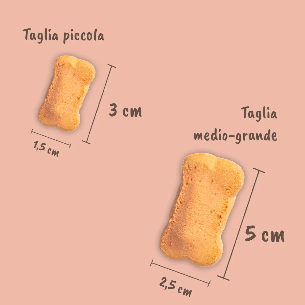 Biscotti al Prosciutto per Cani
