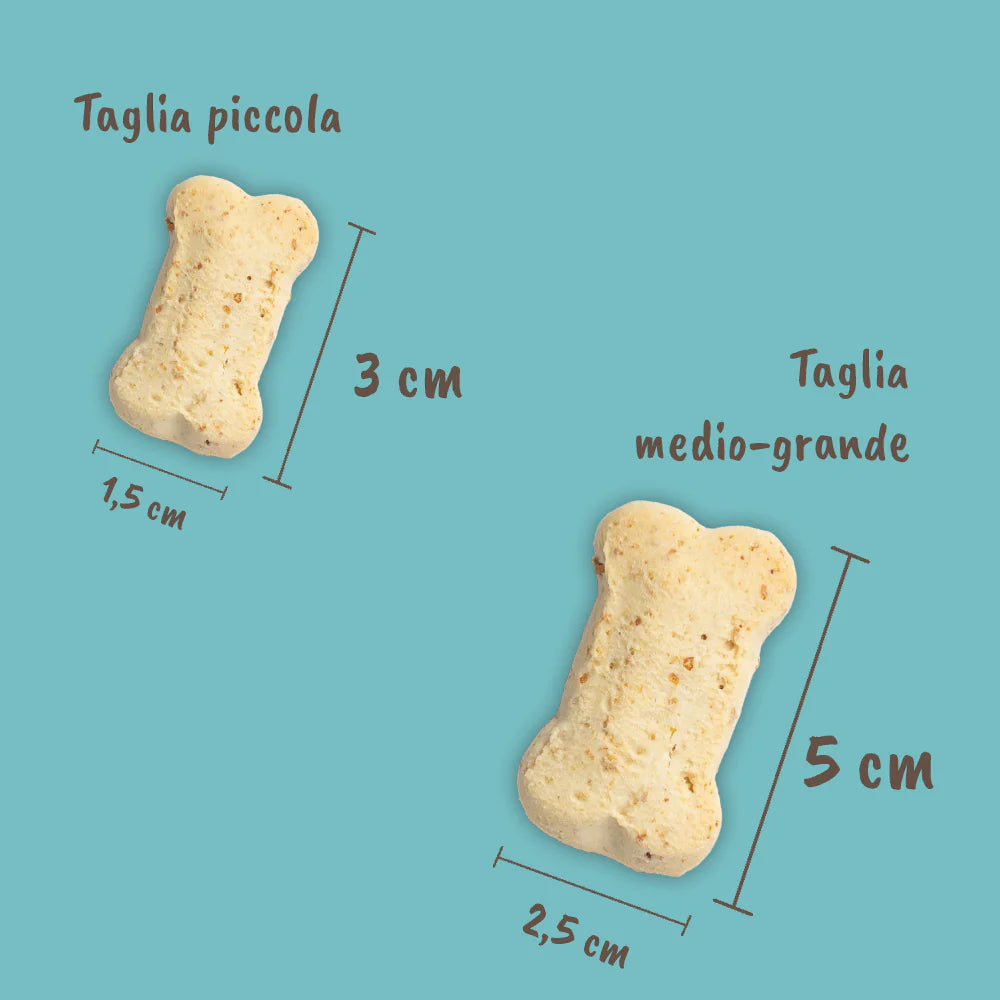 Biscotti al Tonno per Cani