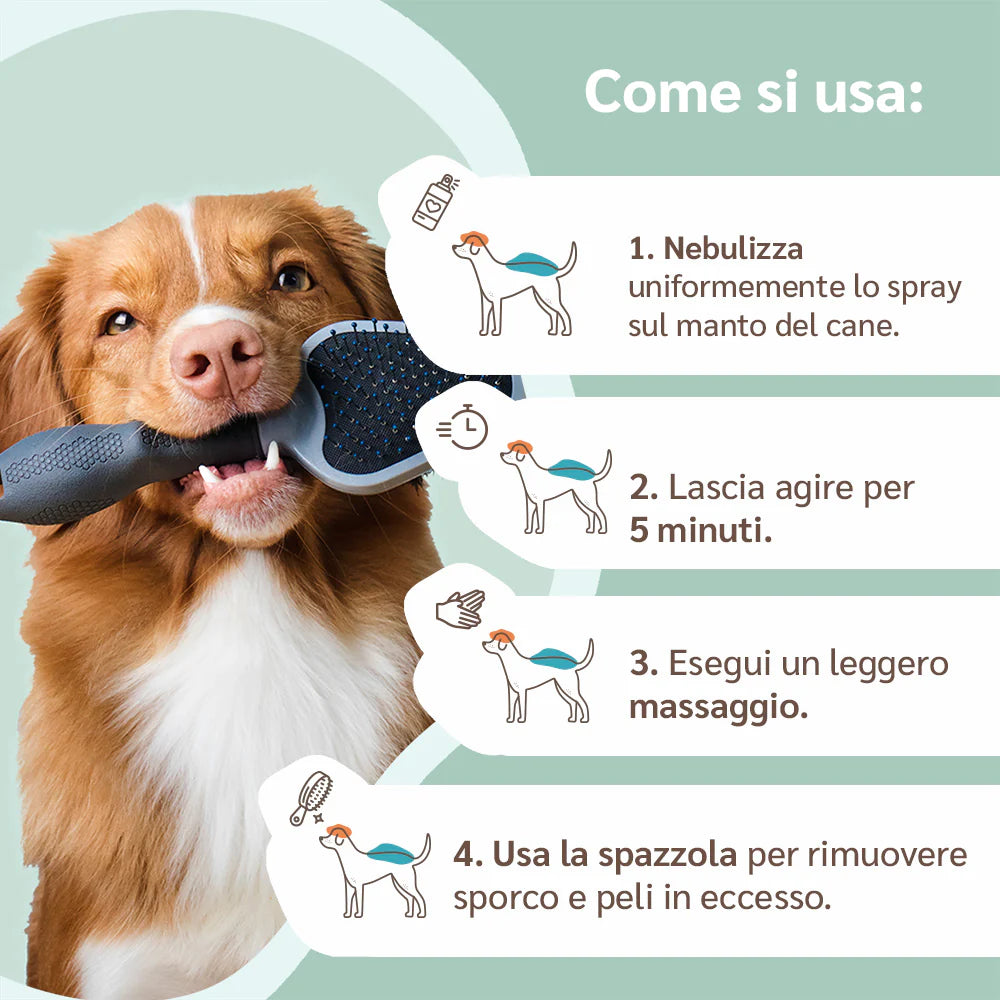 Shampoo a secco cani 250 ml