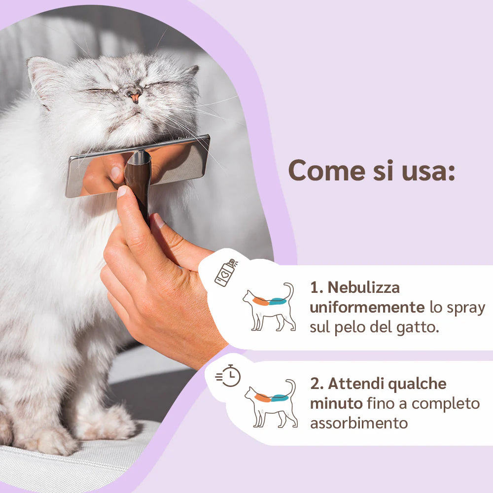 Lozione all'Olio di Neem per Gatti 100 ml