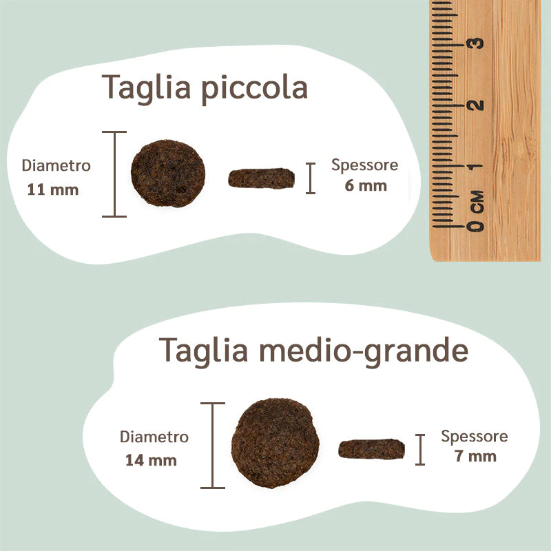 Agnello fresco con patate e zucca