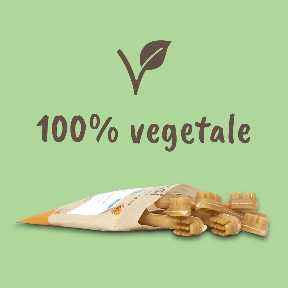 Spazzolino Snack Dentale