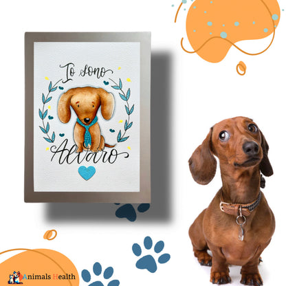 AnimalArts
