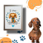 AnimalArts