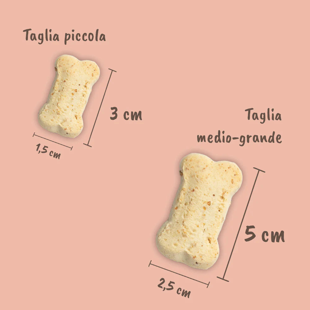 Biscotti al Maiale per Cani 200g