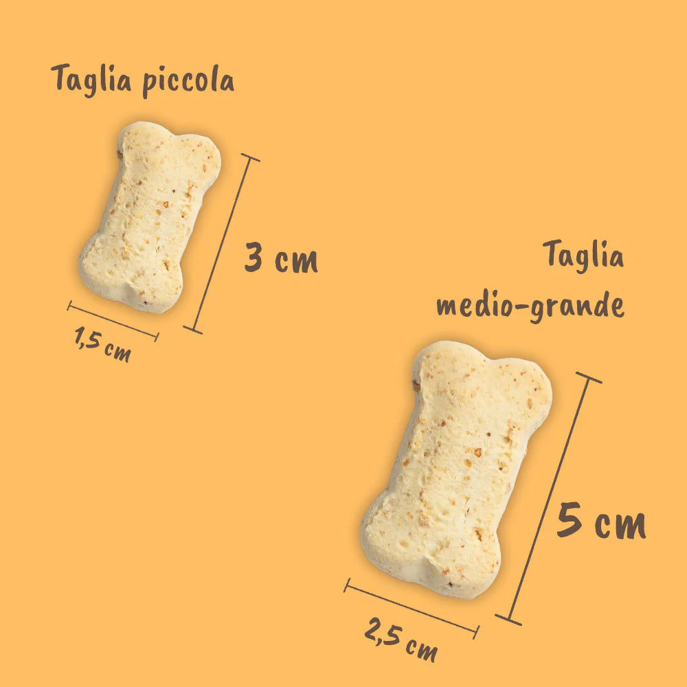 Biscotti al Tacchino per Cani 200g