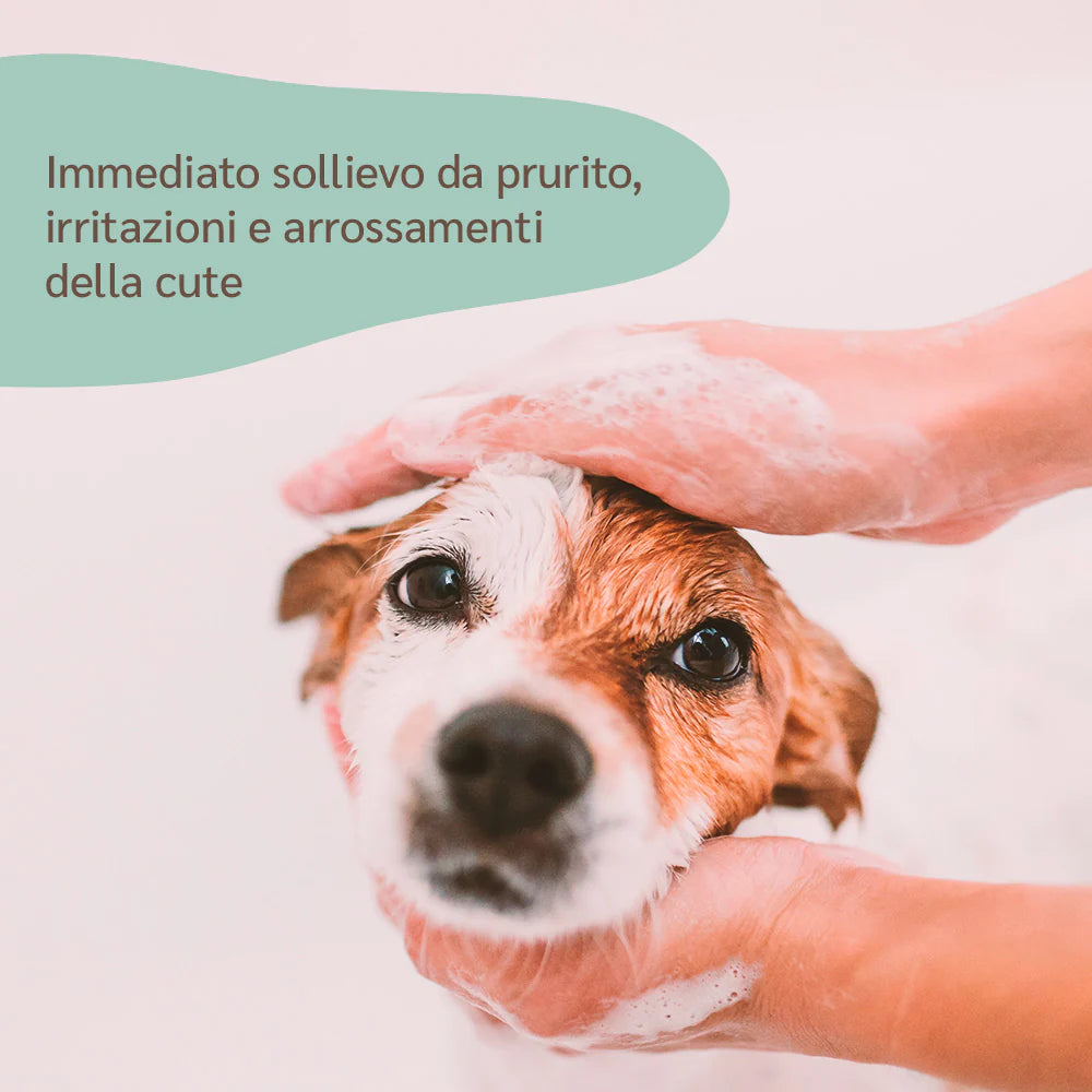 Shampoo lenitivo per cani 250 ml