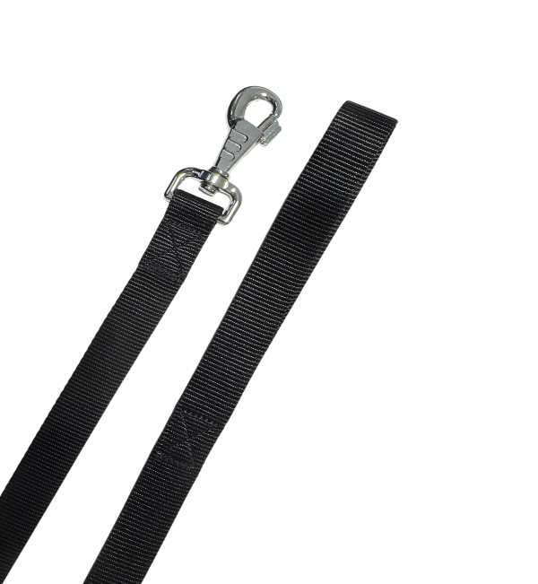 Lenza Da Pesca Invisibile In Nylon: Elastica E Resistente, 200m X 4 Bobine, Bianco